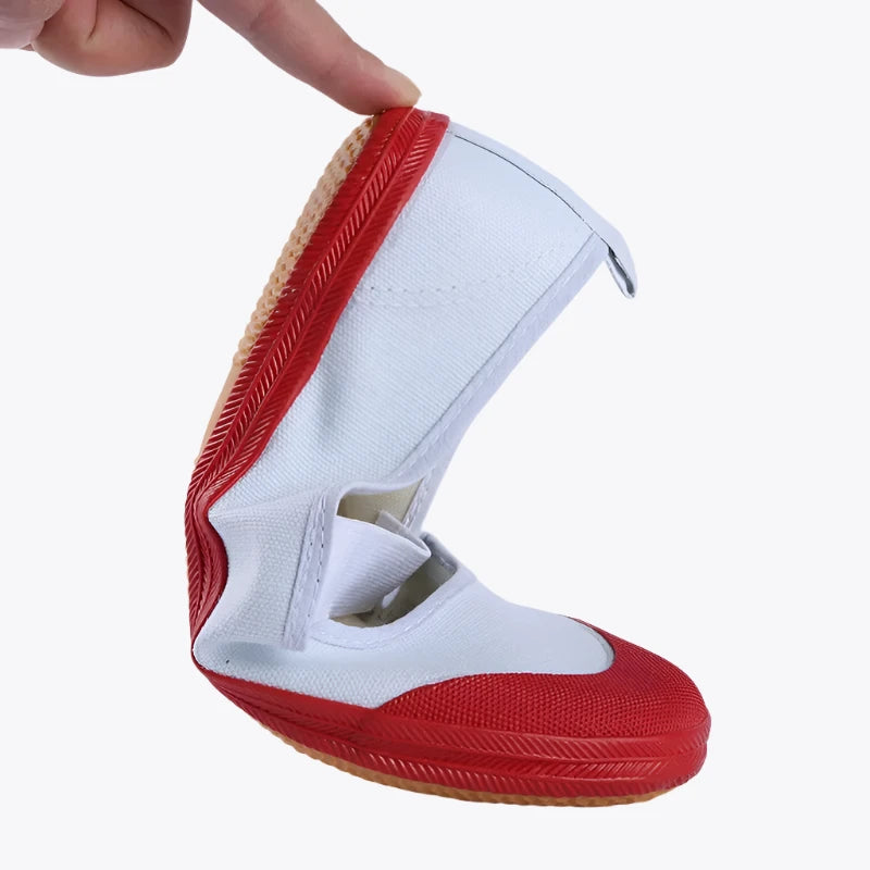 Japanese Sport Shoes
